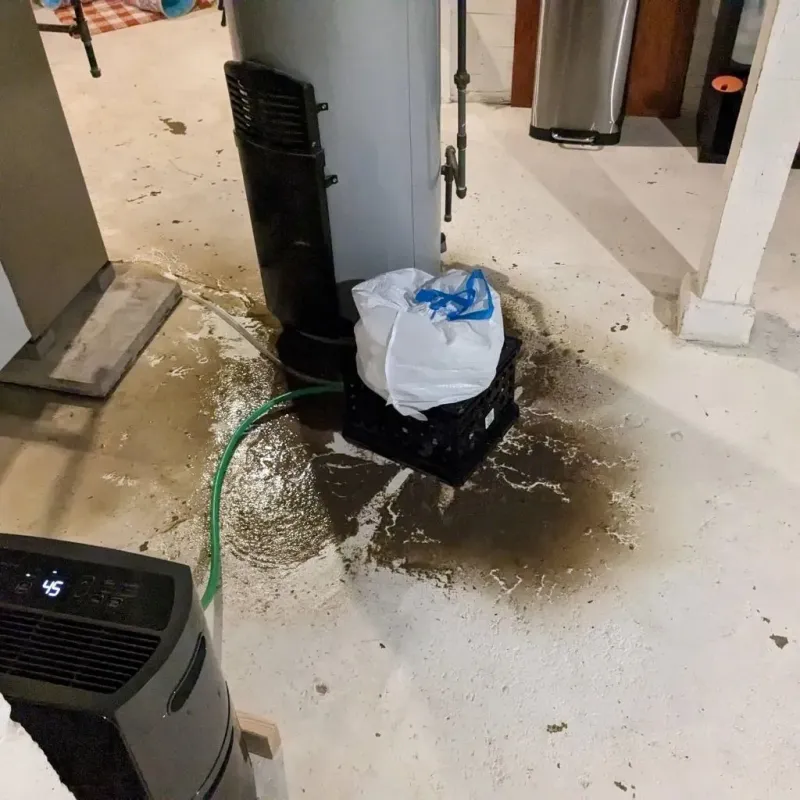 Sewage Backup Cleanup Service in Douglas County, MO